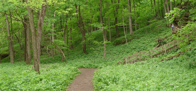 Maquoketa Caves State Park Trail Map - Raccoon Creek Valley trails