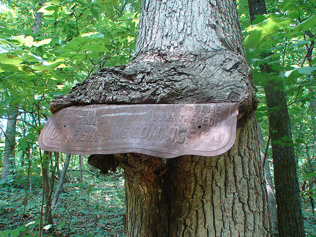 Unique Signs on Iowa Trails - Dolliver Memorial State Park