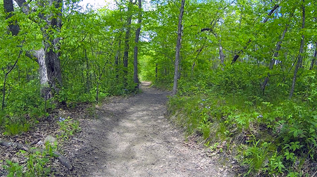 Brushy Creek State Recreation Area Clay Hill Trail