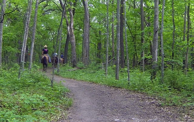 Brushy Creek State Recreation Area Preserve Trail