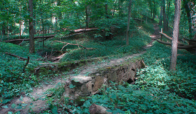 Dolliver Memorial State Park Trail