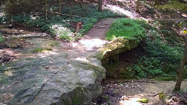 Lacey Keosauqua State Park - River Trail