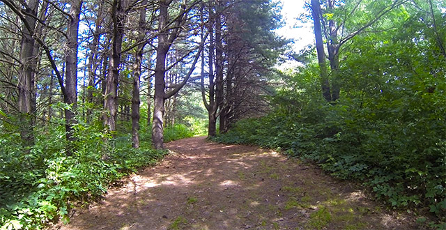 Lake Macbride State Park Osprey Trail