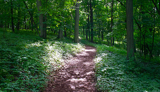 Lake Macbride State Park Field Campus Trail