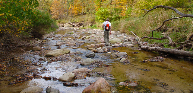 Ledges State Park Pea's Creek