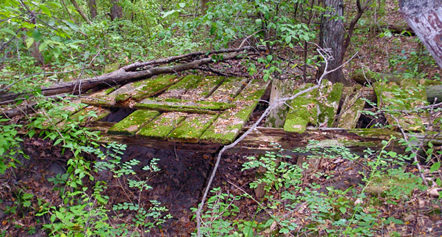 Ledges State Park Oak Woods Trail Footbridge