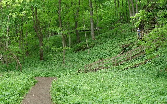 Maquoketa Caves State Park Cave