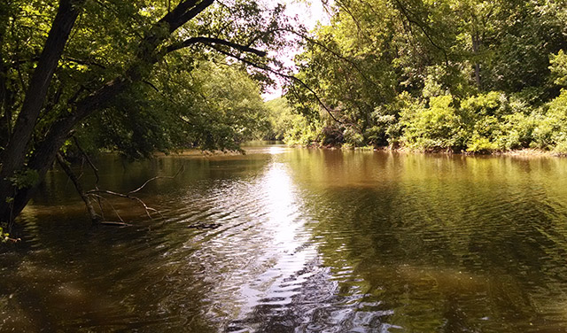 Mines of Spain Recreation Area and Preserve | America’s State Tree Woodland Walk