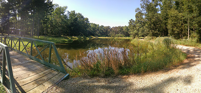 Shimek State Forest - Martin Pond