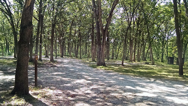 Shimek State Forest - White Oak Campground