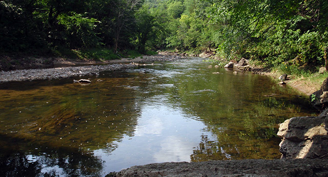 Volga River State Recreation Area | Volga River