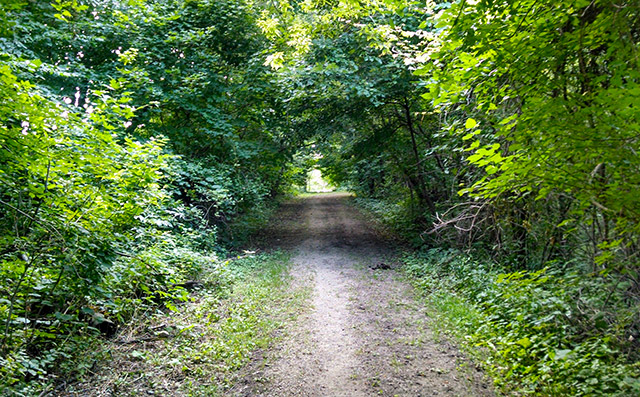 Volga River State Recreation Area | Orchard Trail