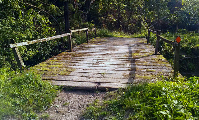 Volga River State Recreation Area | Frog Hollow Trail