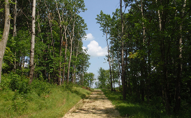 Volga River State Recreation Area | Lima Trail