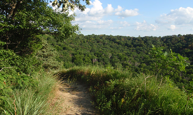 Waubonsie State Park Trails