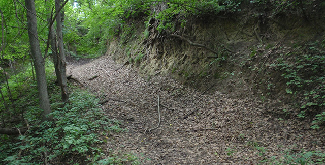 Waubonsie State Park Trails