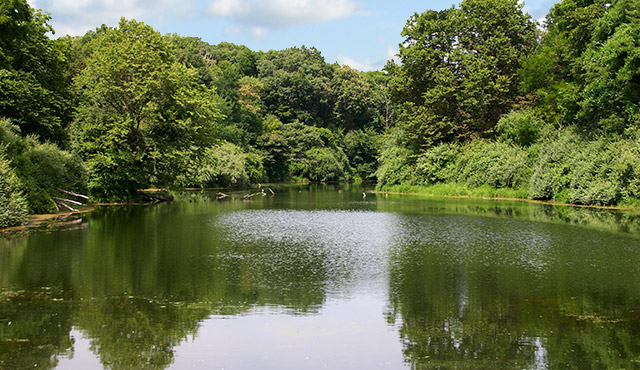 Waubonsie State Park Lake Virginia