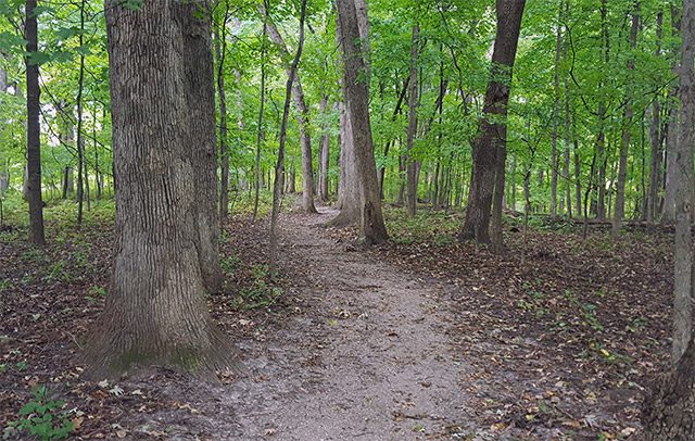 Wildcat Den State Park - Pine Creek Grist Mill