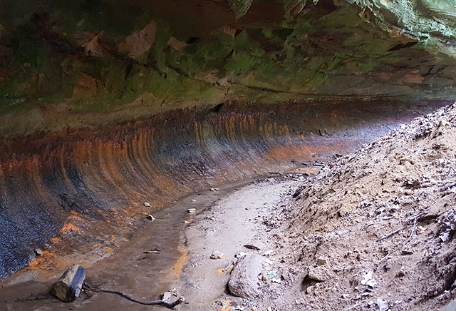 Wildcat Den State Park - Horseshoe Bend