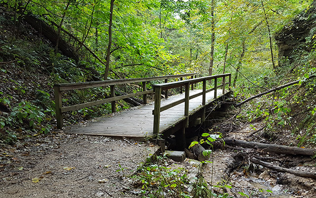 Wildcat Den State Park - Trail