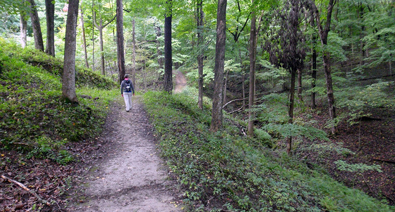 Backbone State Park - Trail