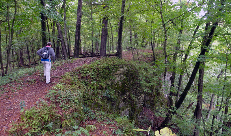 Backbone State Park - Trail