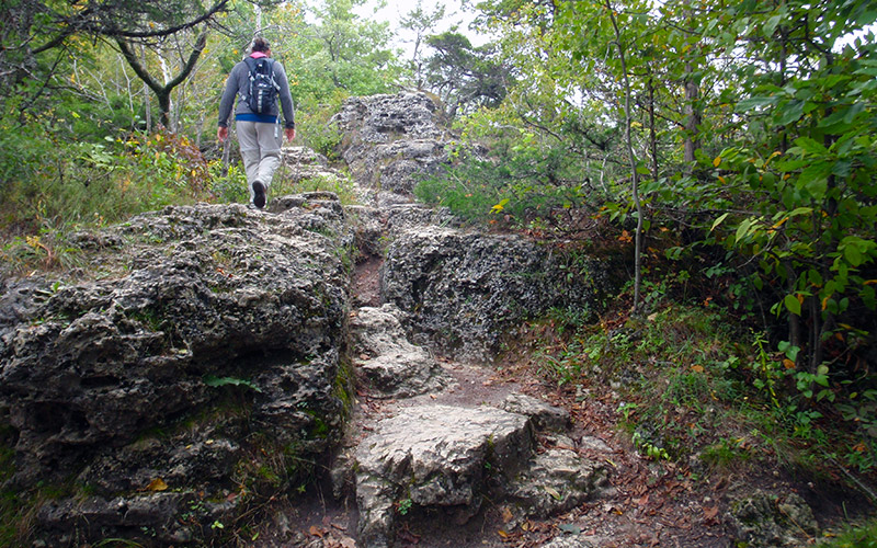 Backbone State Park - Trail