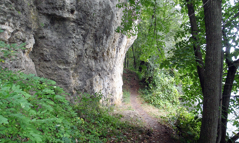 Backbone State Park - Trail