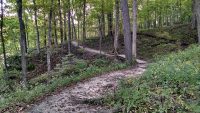 Palisades-Kepler State Park | Iowa Parklands