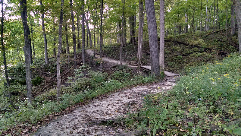 Cedar Cliff Trail