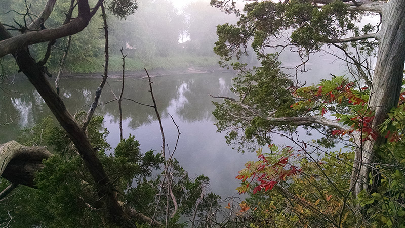 Palisades-Kepler State Park - Cedar River