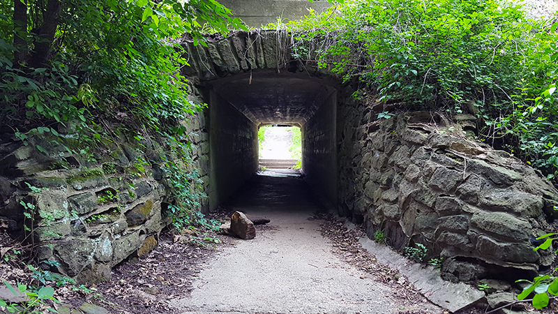 Beach Trail