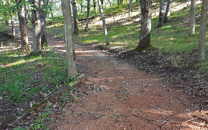 C.E.C. Trail