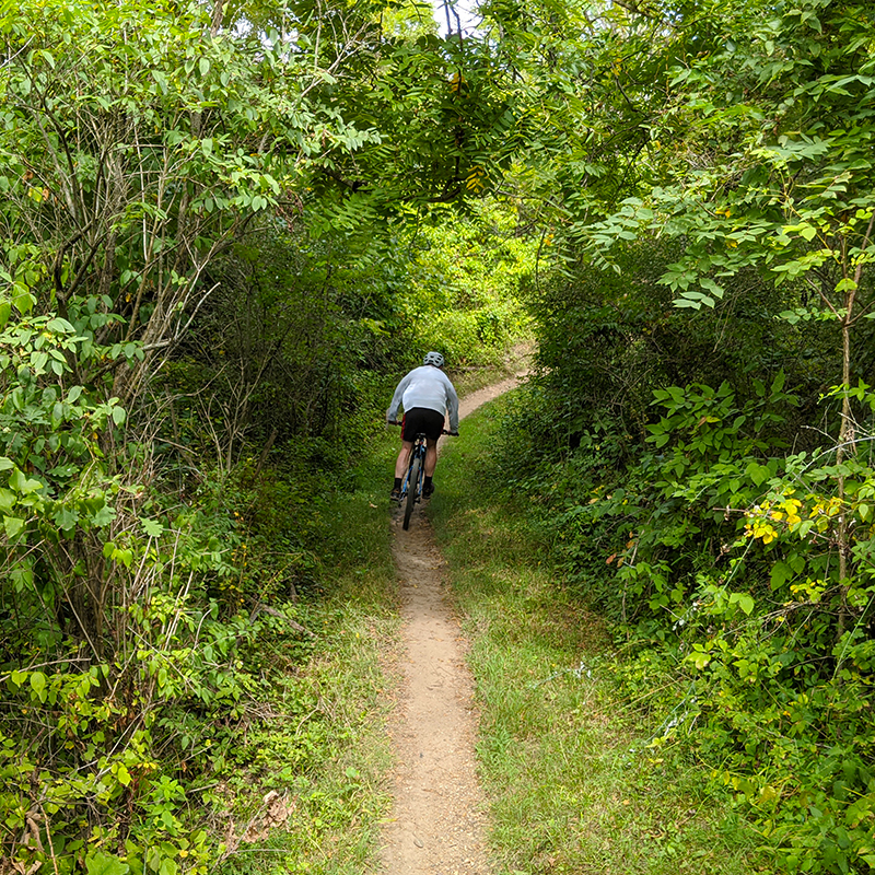 Coal Miner's Daughter Trail