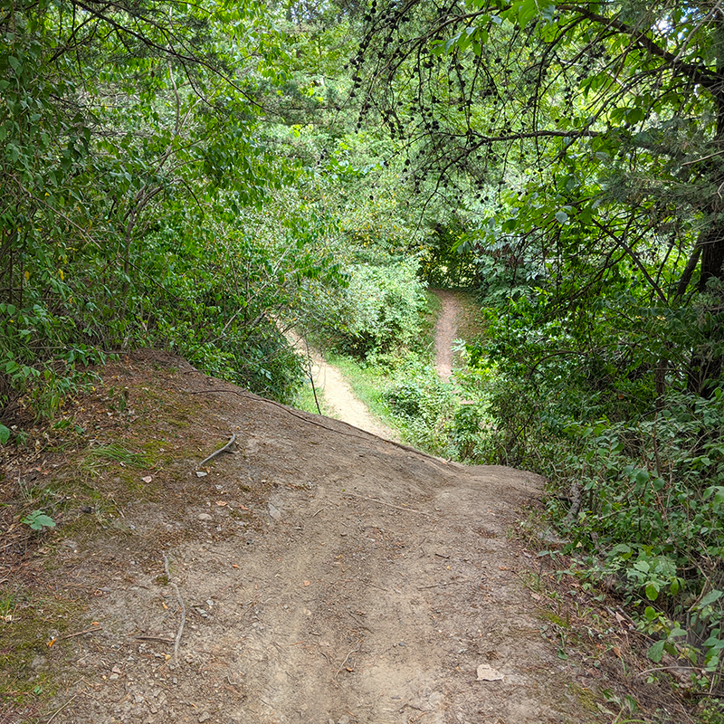 Coal Miner's Daughter Trail Rolldown