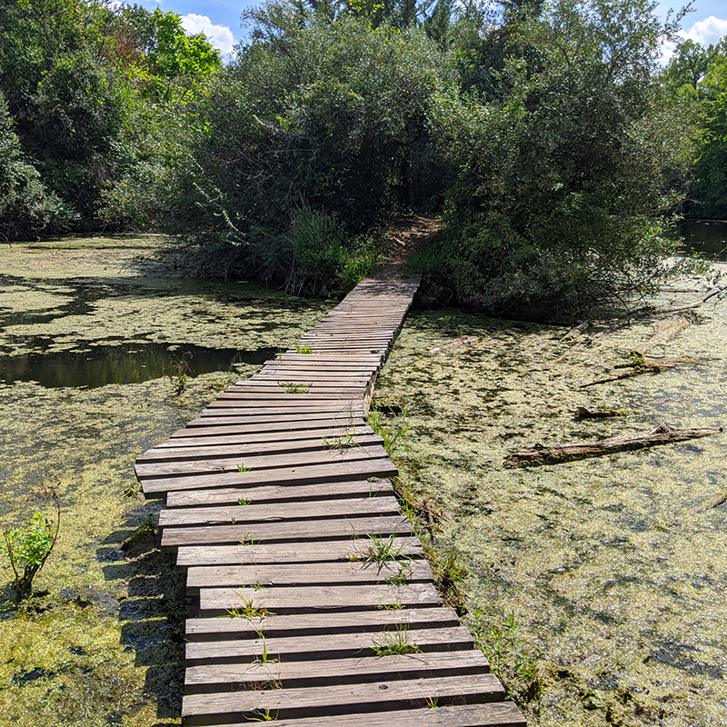 Coal Miner's Daughter Trail Boardwalk