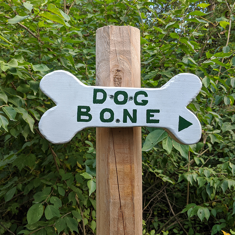 Dog Bone Trail