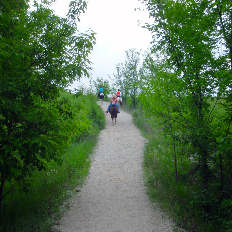 Lake Trail - Brushy Creek State Recreation Area