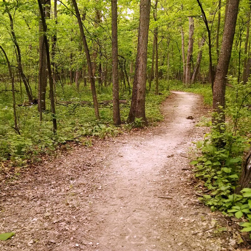 Preserve Trail - Brushy Creek State Recreation Area