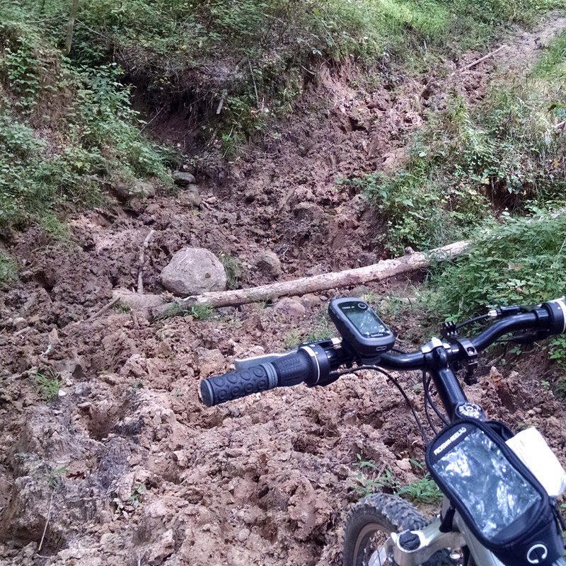 Equestrian Trail - Shimek State Forest, Lick Creek Unit