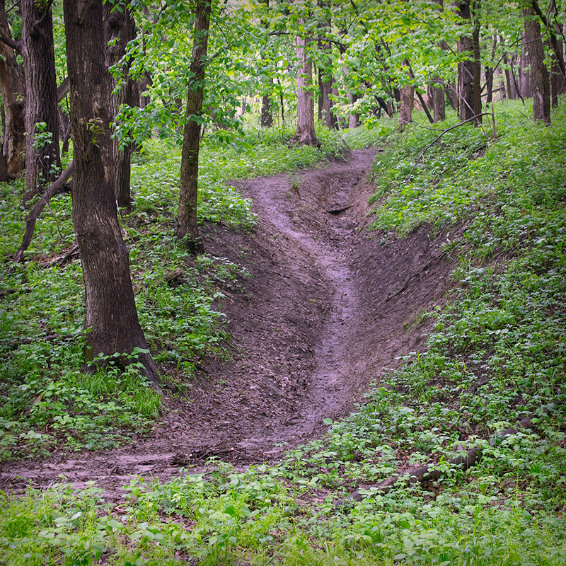 Ruth's Ridge Trail Stone State Park